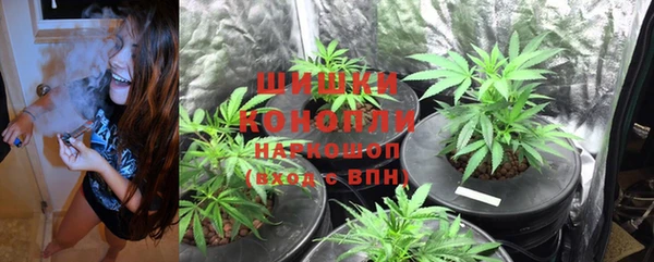 бошки Беломорск