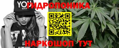 сатива Лесосибирск