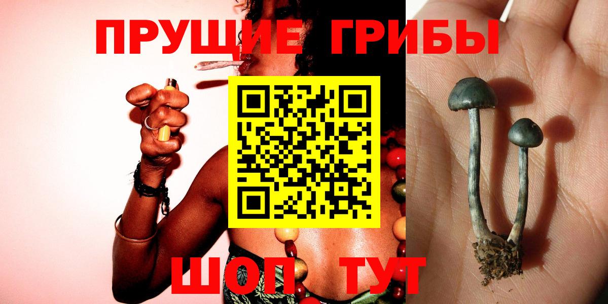 Гатчина  Галлюциногенные грибы Magic Shrooms  Галлюциногенные грибы GOLDEN TEACHER  Вход с VPN 