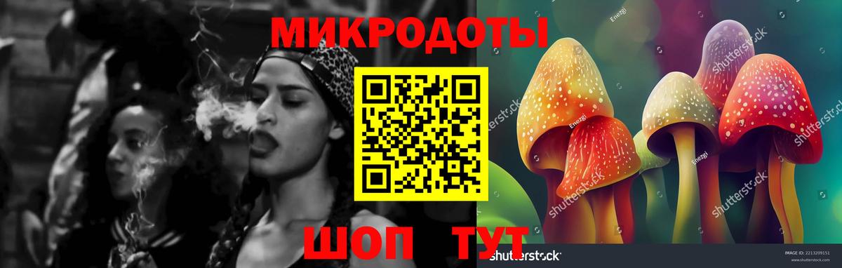 Псилоцибиновые грибы мицелий Гатчина